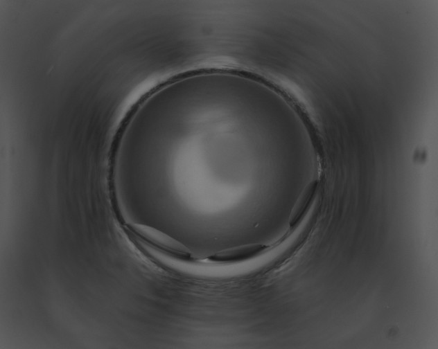 X0000091541326200708311323
