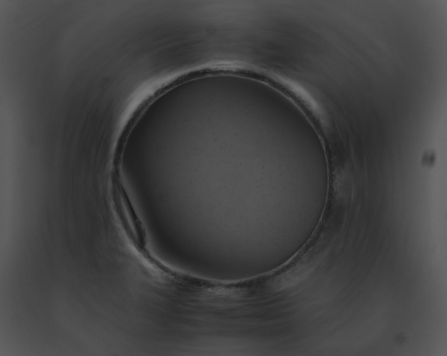 X0000091541327200708311323