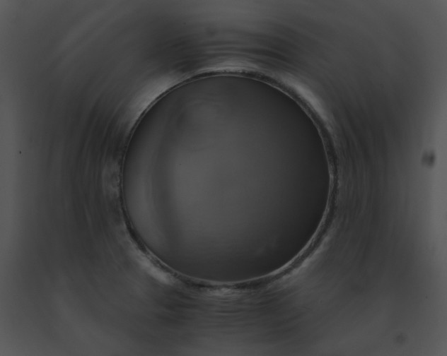 X0000091541329200708311323