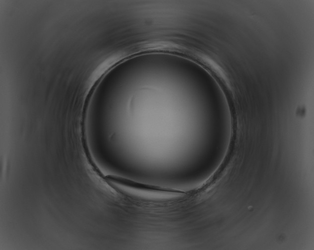 X0000091541330200708311323