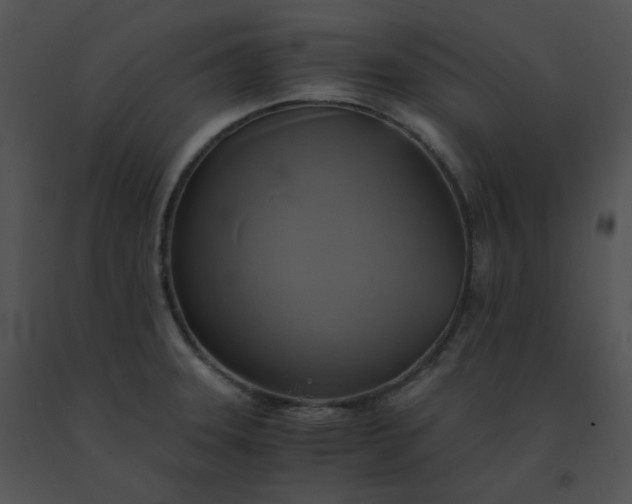 X0000091541331200708311323
