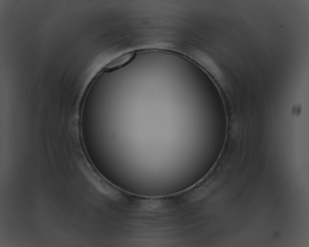X0000091541332200708311323