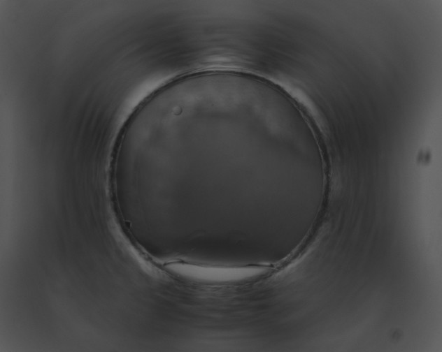 X0000091541333200708311323