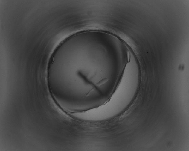 X0000091541334200708311323