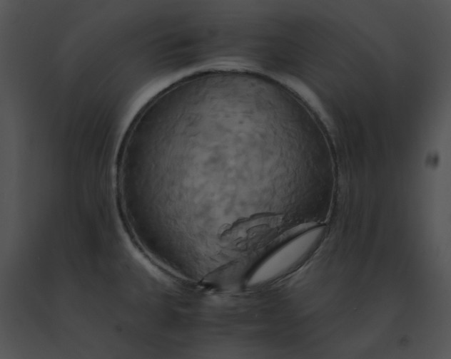 X0000091541335200708311323