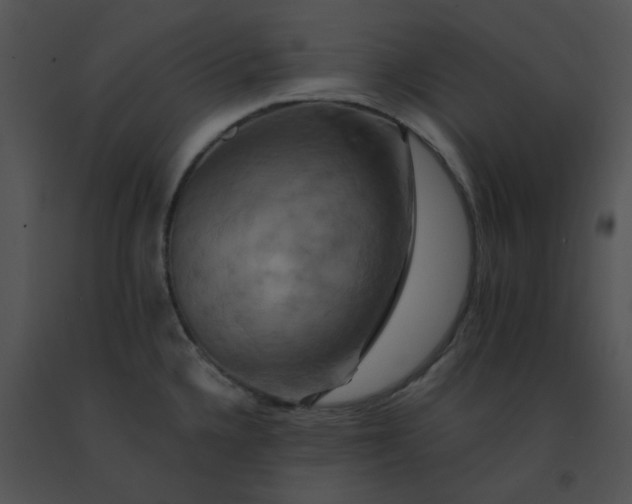 X0000091541336200708311323