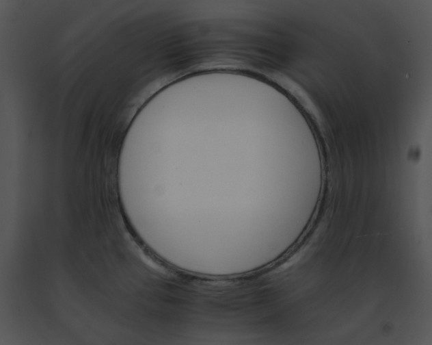 X0000091541337200708311323