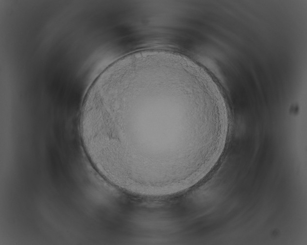 X0000091541338200708311323
