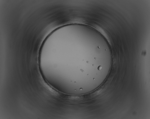 X0000091541339200708311323