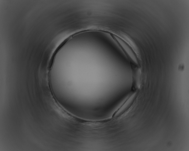 X0000091541340200708311323