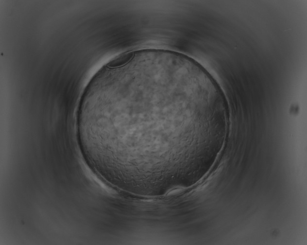 X0000091541341200708311323