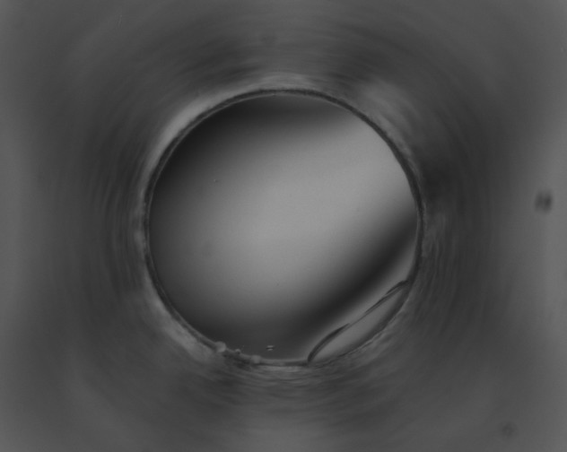 X0000091541342200708311323
