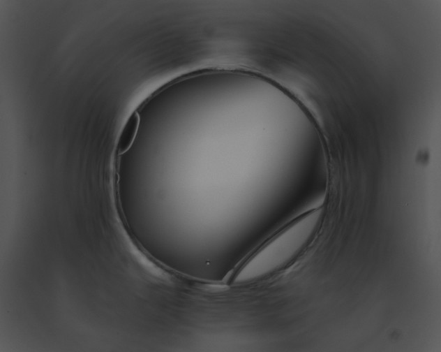 X0000091541343200708311323