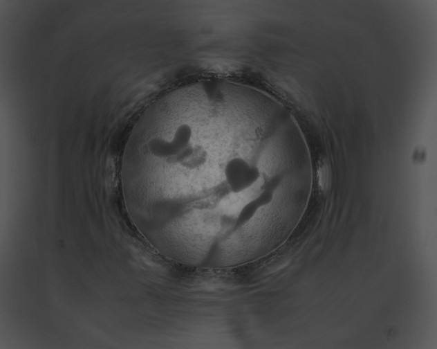 X0000091541347200708311323