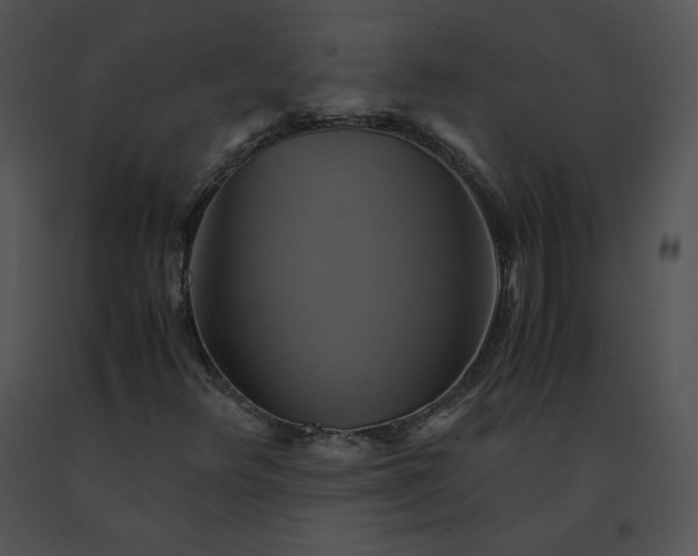 X0000091541348200708311323