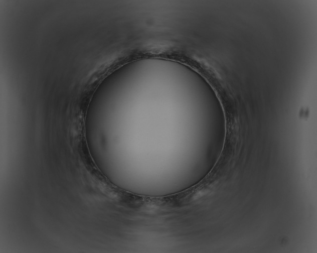 X0000091541349200708311323