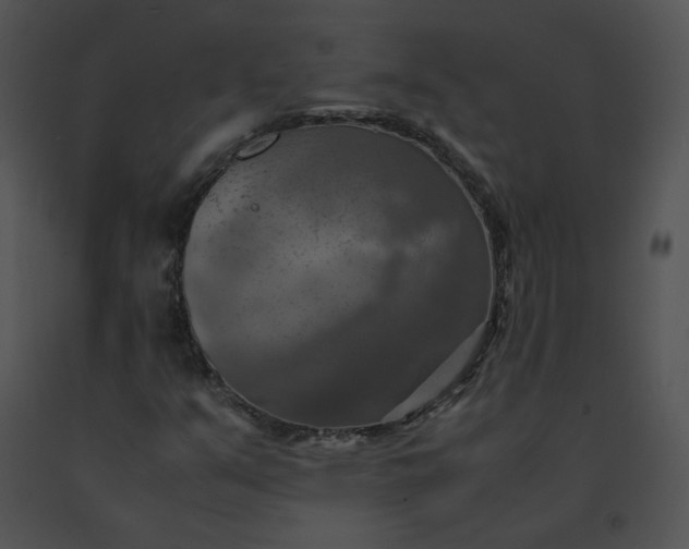 X0000091541351200708311323