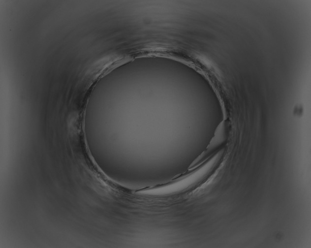 X0000091541353200708311323