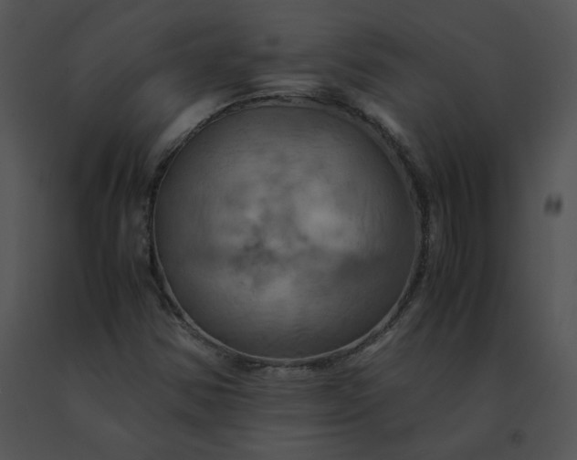 X0000091541354200708311323