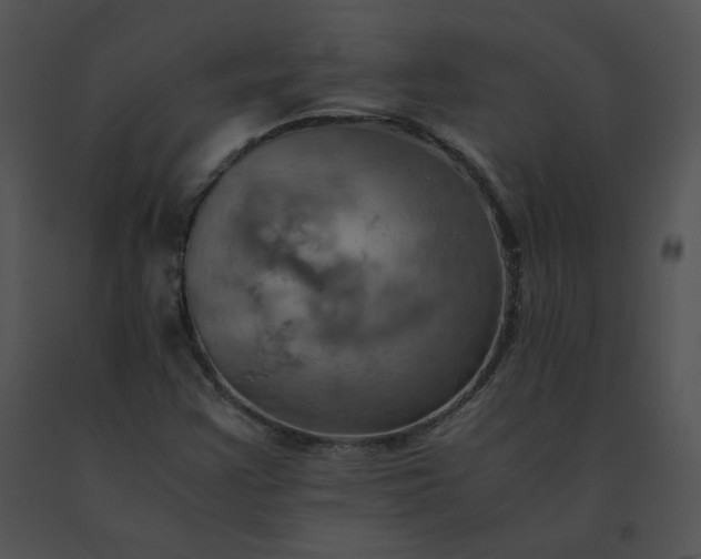 X0000091541355200708311323