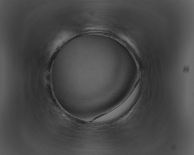 X0000091541357200708311323