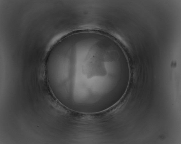 X0000091541358200708311323
