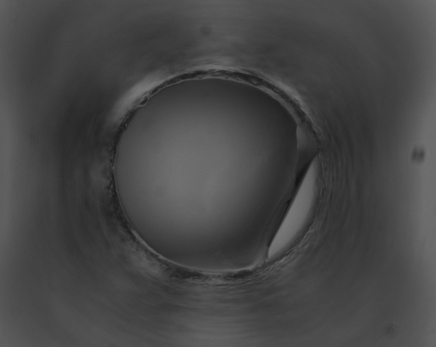 X0000091541359200708311323