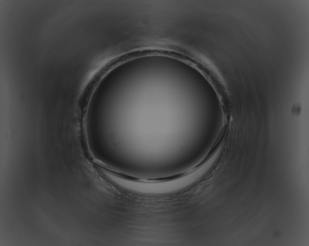 X0000091541360200708311323
