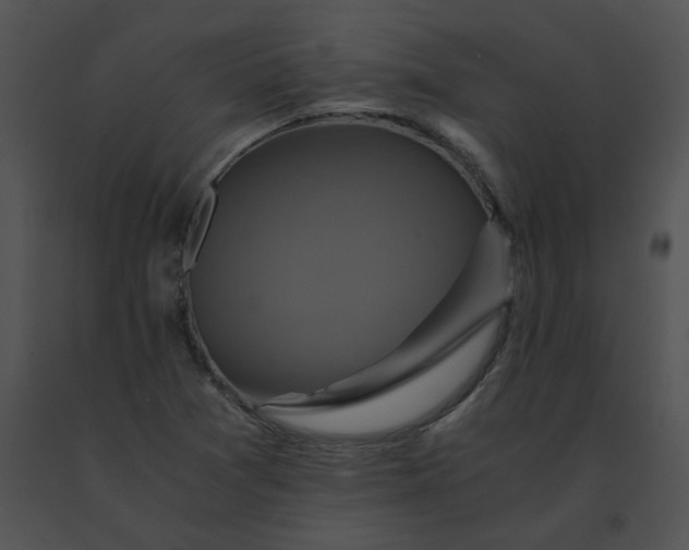 X0000091541361200708311323