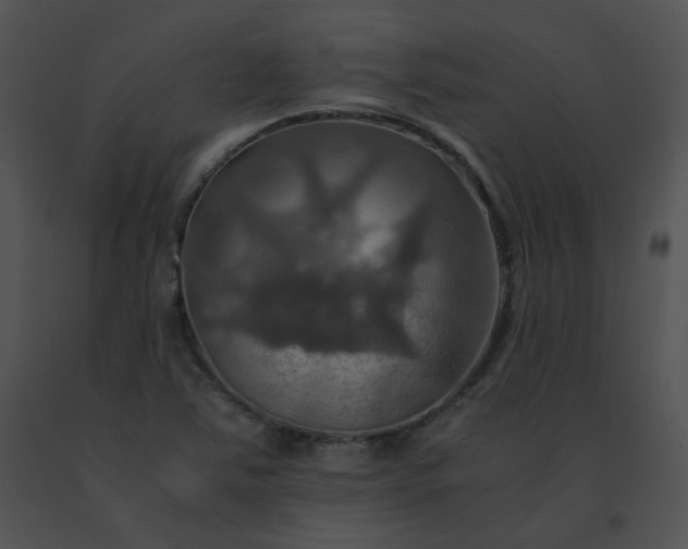 X0000091541363200708311323