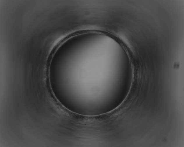 X0000091541364200708311323
