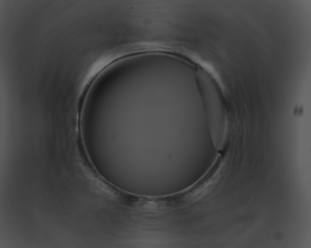 X0000091541365200708311323
