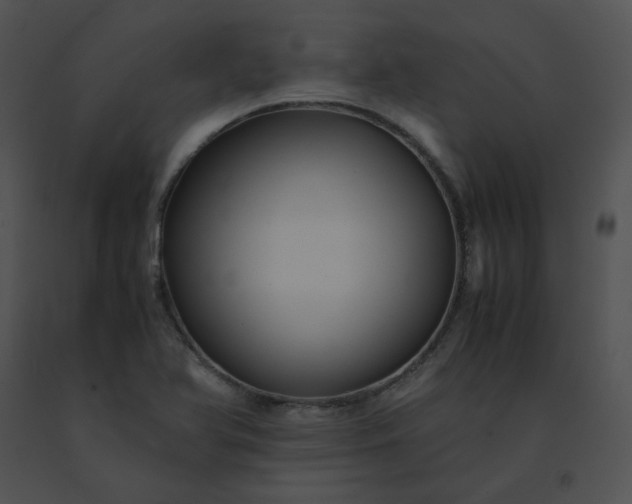 X0000091541366200708311323