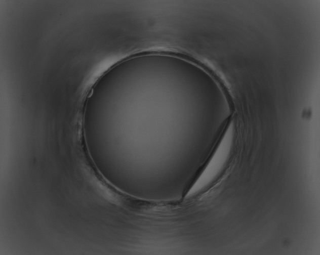 X0000091541367200708311323