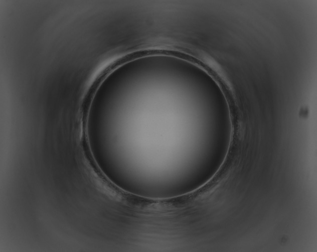 X0000091541368200708311323