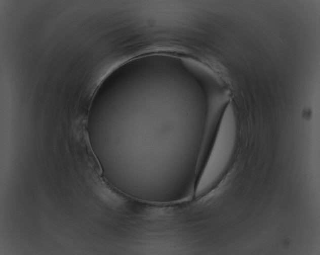 X0000091541369200708311323