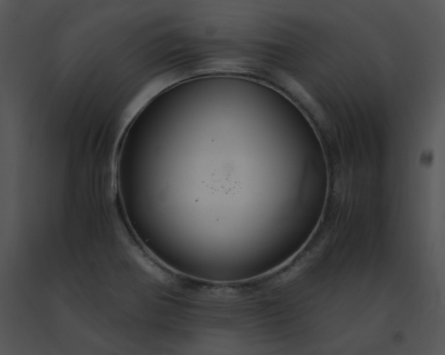 X0000091541370200708311322