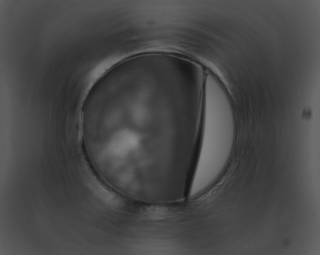 X0000091541371200708311322