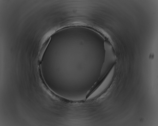 X0000091541373200708311322
