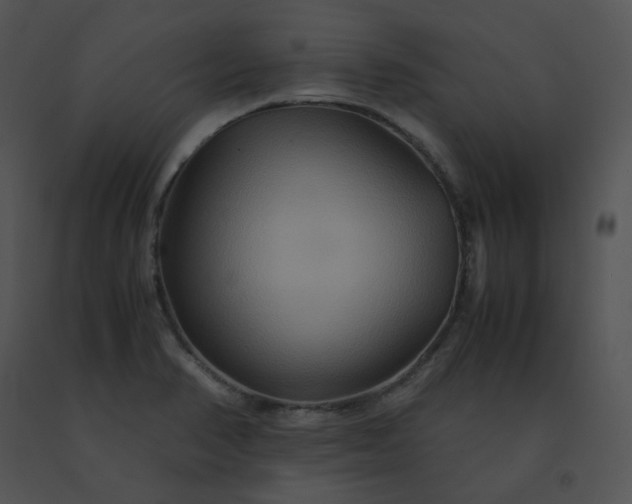 X0000091541374200708311322