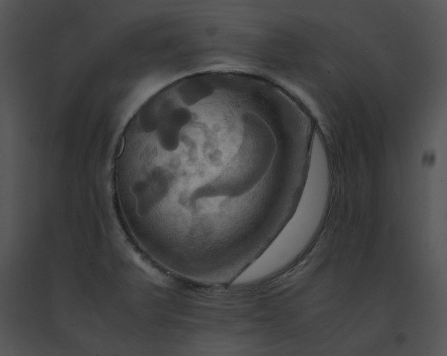 X0000091541375200708311322