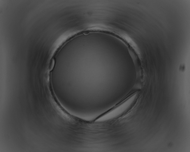 X0000091541376200708311322