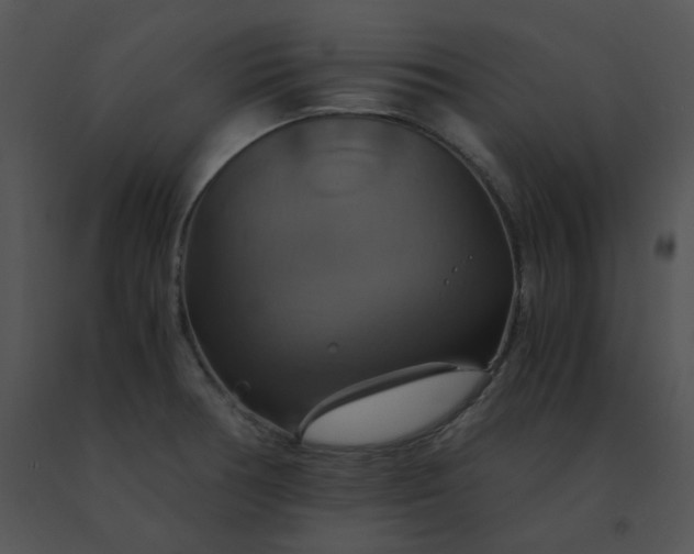 X0000091541378200708311322