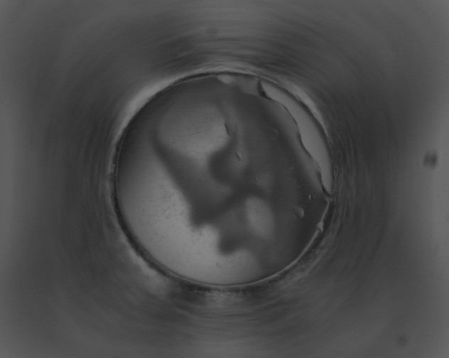 X0000091541379200708311322