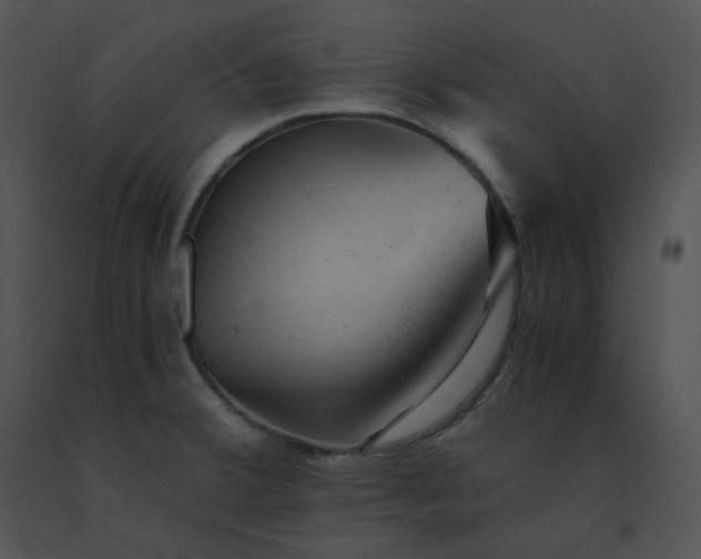 X0000091541380200708311322