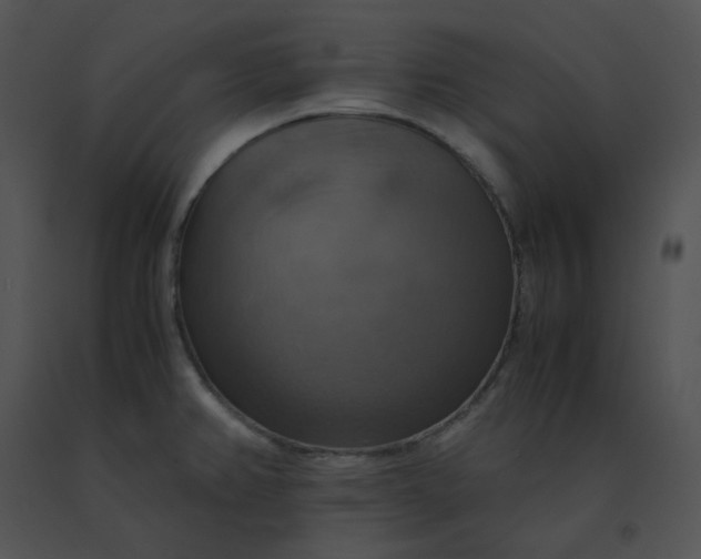 X0000091541382200708311322