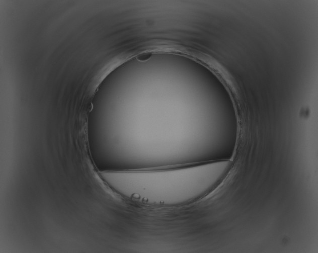 X0000091541385200708311322