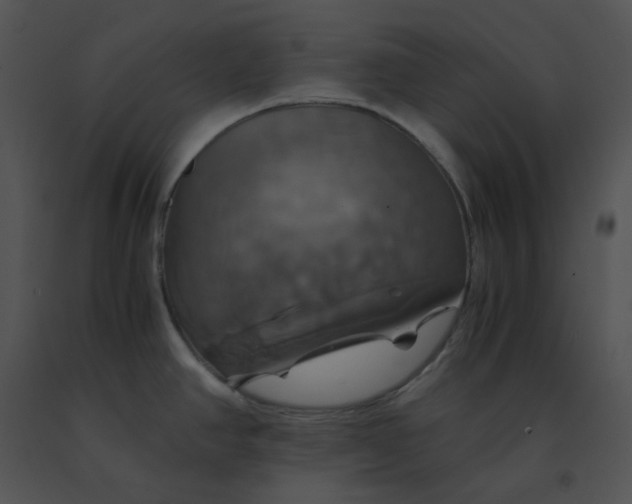 X0000091541390200708311322