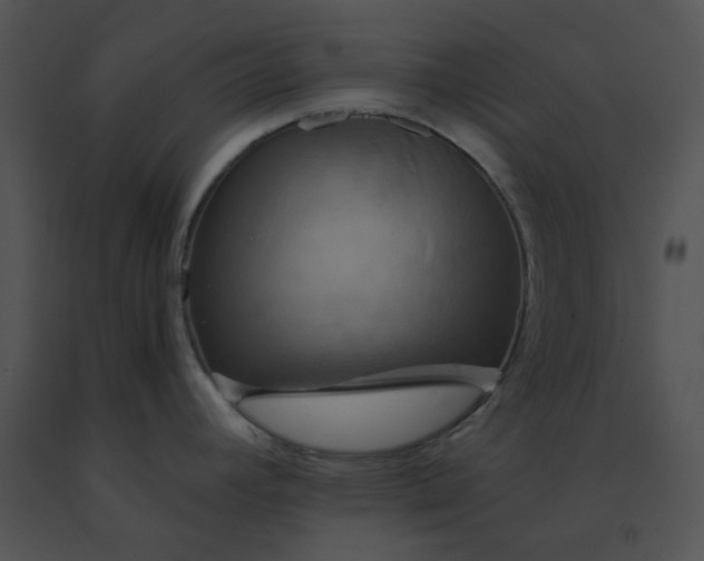 X0000091541392200708311322