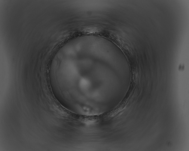 X0000091541393200708311322